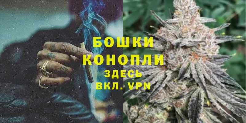 Бошки марихуана OG Kush  где продают наркотики  Тырныауз 